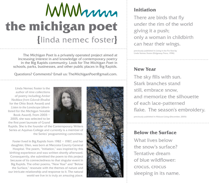 2010_feb_linda_nemec_foster