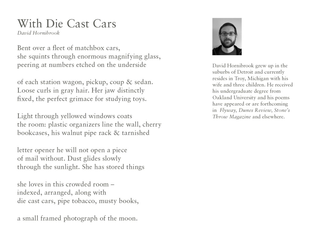 2012_feb_david_hornibrook